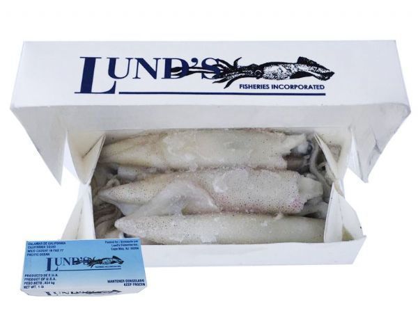 Squid 1lb Box Store Collection Only