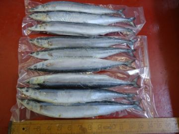 Blueys Store Collection Only Blueys Store Collection Only