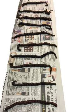 Black Lug (Pack Of 10) Store Collection Only Black Lug (Pack Of 10) Store Collection Only