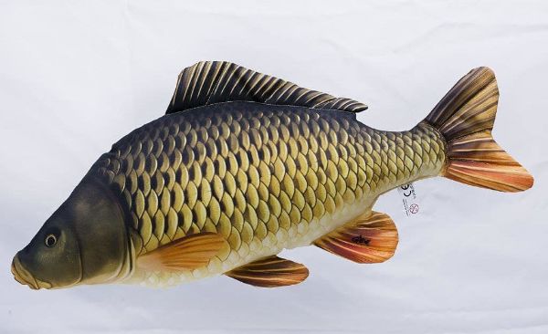 Gaby Pillows Common Carp Giant