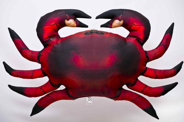Gaby Pillows Crab