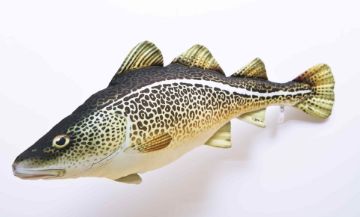Gaby Pillows Cod Regular Gaby Pillows Cod Regular