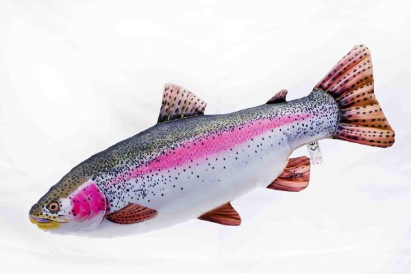 Gaby Pillows Rainbow Trout Regular