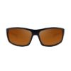 FORTIS GLASSES ESSENTIALS BROWN 247
