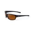 FORTIS GLASSES ESSENTIALS BROWN 247