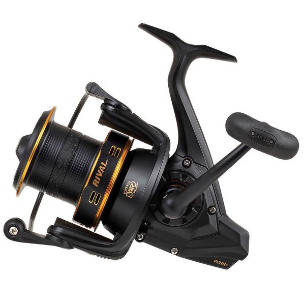 Penn Rival Longcast Gold 8000LC - Angling Centre West Bay