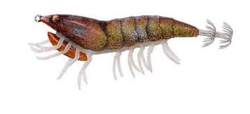 Savage Salt Hybrid Shrimp Burnt Orange 7.5cm 12g Savage Salt Hybrid Shrimp Burnt Orange 7.5cm 12g