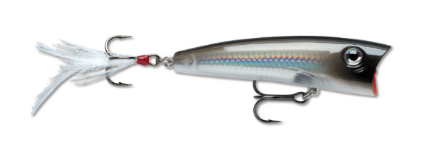 Rapala X-Rap Xtreme Action Popper Pearl Grey Shiner 7cm 11g - Angling  Centre West Bay