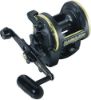 Daiwa Sealine Slosh Multiplier SL20SH