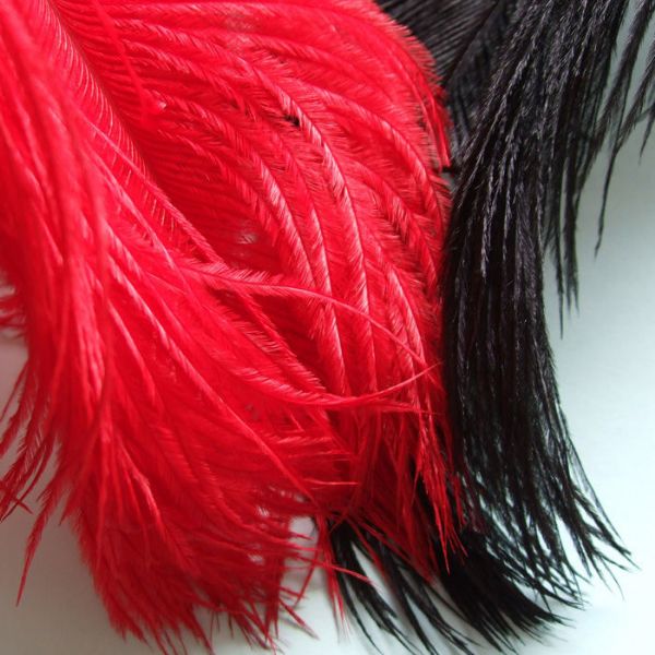 Picture of Turrall Ostrich Feather