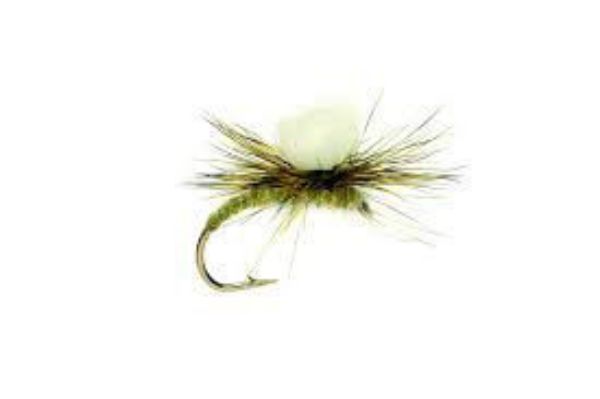 FULLING MILL KLINK LIGHT OLIVE S14