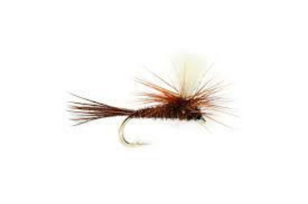 FULLING MILL PARACHUTE PHEASANT TAIL S16