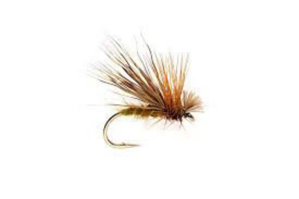 FULLING MILL OLIVE DROP SEDGE S12