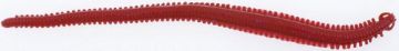 Berkley Gulp! Alive® Néréïs Bloody Worm Berkley Gulp! Alive® Néréïs Bloody Worm