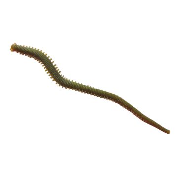Berkley Gulp! Alive® Néréïs Camo Worm Berkley Gulp! Alive® Néréïs Camo Worm