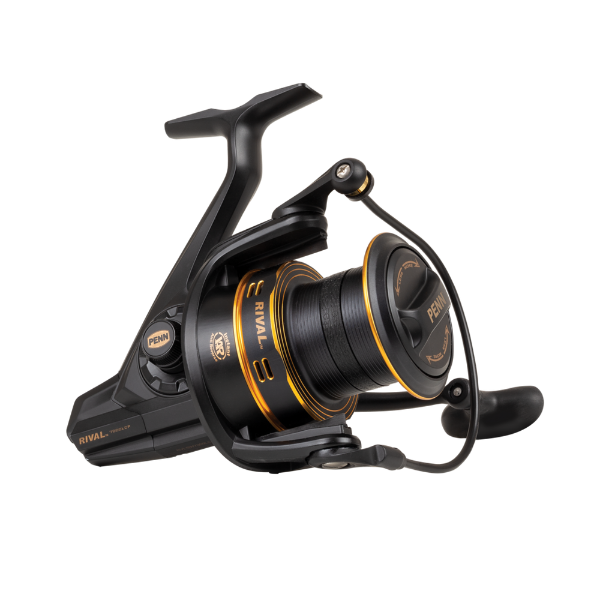 Penn Rival 6000 Longcast Gold - Angling Centre West Bay