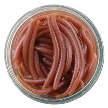 Berkley Gulp Alive Baits - Angle Worm Natural  Berkley Gulp Alive Baits - Angle Worm Natural