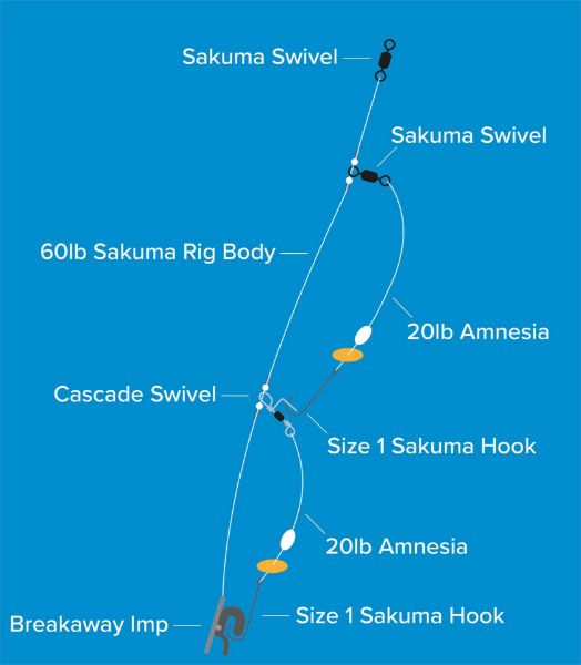 Sakuma 2 Hook Clipped Down Rig -Size 1