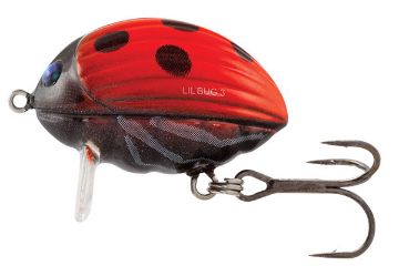 SALMO LIL’ BUG 3CM - FLOATING LADYBIRD SALMO LIL’ BUG 3CM - FLOATING LADYBIRD