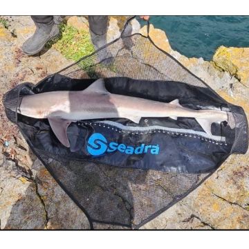 Seadra Weigh and Measure Sling – Specimen 120cm Seadra Weigh and Measure Sling – Specimen 120cm