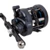 Daiwa Saltist Levelwind - 20HB