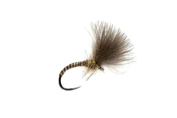 Fulling Mill Quill CdC Emerger Natural Barbless - Size 16