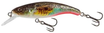 Salmo Slick Stick 6 - Supernatural Gobie Salmo Slick Stick 6 - Supernatural Gobie