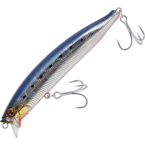 Tackle House Feed Shallow - 105 Sardine Red Belly AHG