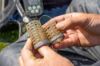 Guru Bait Up X-Change Caged Feeder