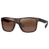 Fox Avius Trans Khaki  - Brown Lense
