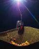 Spomb Bucket Light