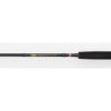 Penn Wrath II Spin 902 - 20-60gm
