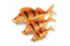Fox Ultra Realistic Replicant Golden Perch 14cm - 50g